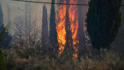 Δύο συλλήψεις για πυρκαγιές από αμέλεια σε Έβρο και Γρεβενά
