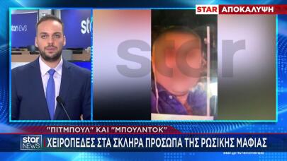 Greek Mafia: Χειροπέδες σε «Πίτμπουλ» και «Μπουλντόγκ»