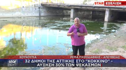 Ιός Δυτικού Νείλου