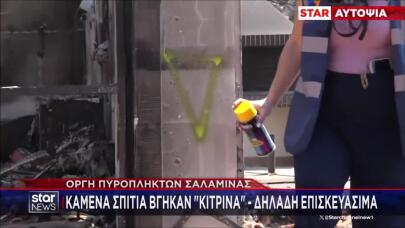 Σαλαμίνα: Καμένα σπίτια βγήκαν «κίτρινα»- Αντιδράσεις από τους πυρόπληκτους