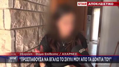 Αχαρνές: Σκύλος Σκότωσε Μαλτέζ & Τραυμάτισε Την ΙδιοκτήτριαΑχαρνές: Σκύλος