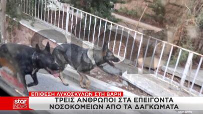 σκυλιά Βάρη