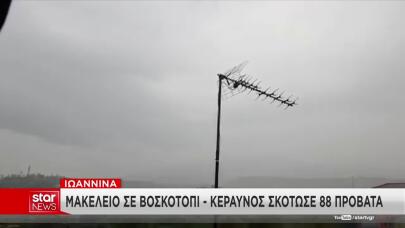 Κακοκαιρία: Κεραυνός Χτύπησε Κοπάδι Και Σκότωσε 88 Πρόβατα