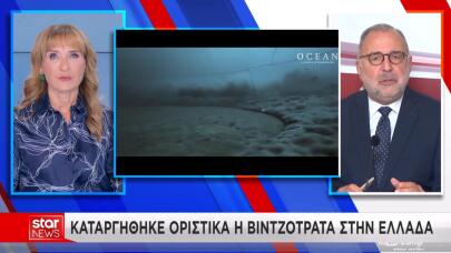 Βιντζότρατα