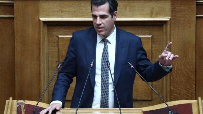 Θάνος Πλεύρης