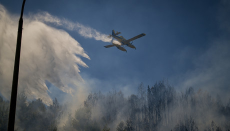 Φωτιά: Σε Ύφεση Το Μέτωπο Στην Κεφαλονιά