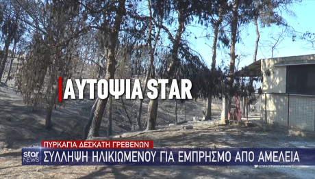 Φωτιά Δεσκάτη Γρεβενών