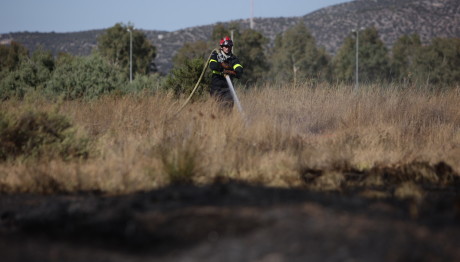 Φωτιά Σε Κέρκυρα Και Λακωνία