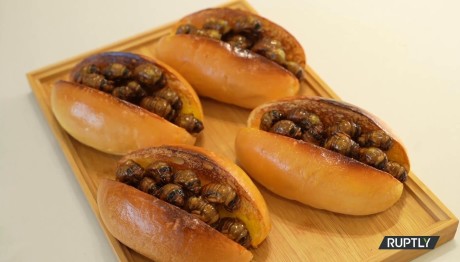 Σάντουιτς - Τζιτζίκια