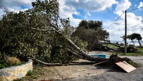 Ανεμοστρόβιλος στη Χαλκιδική - Τέσσερις Τραυματίες