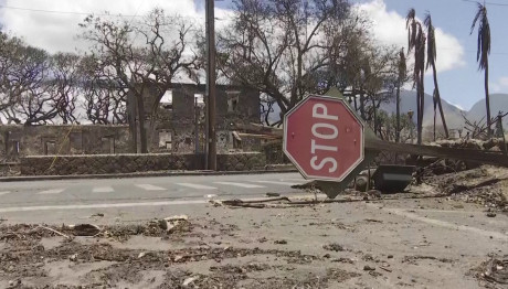 Χαβάη: Απόκοσμες Εικόνες Μετά Τις Καταστροφικές Πυρκαγιές