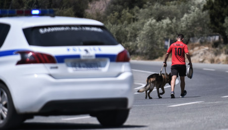 Ευρυτανία: Σκότωσε Τον Αδελφό Του Με Καραμπίνα