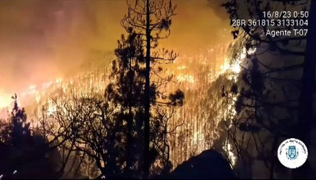 Φωτιά Τενερίφη: Εκτός Ελέγχου Το Μέτωπο - Εκκένωση Χωριών