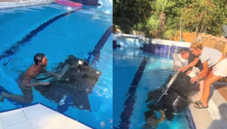 Κόνι Μεταξά