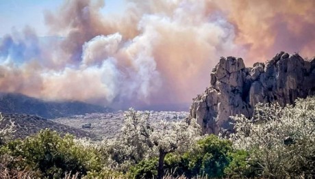 Φωτιά Βοιωτία