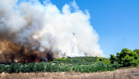 Φωτιά στην Εύβοια