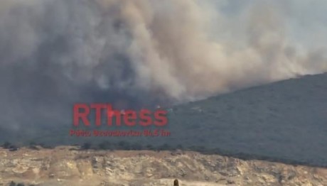 Χαλκιδική: Φωτιά κοντά στον Πολύγυρο, στην περιοχή Καλύβες