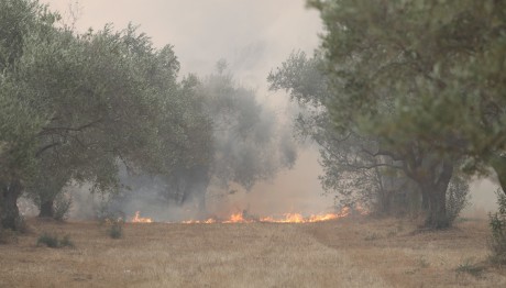 Καλύβια Αττικής: Μήνυμα του 112 στους κατοίκους της Βαλομάνδρας