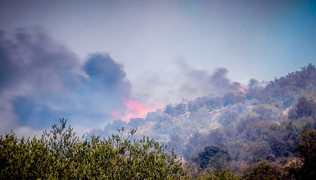 Φωτιά Βοιωτία: Εκτός Ελέγχου Η Πυρκαγιά - Νέες Εκκενώσεις