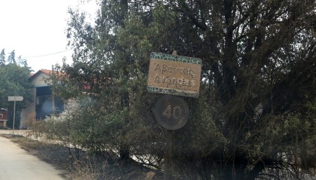 Φωτιά Έβρος: Δύο παιδάκια ανάμεσα στις σορούς μεταναστών που απανθρακώθηκαν