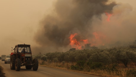 Φωτιά Αλεξανδρούπολη: Προς τη Ροδόπη κατευθύνεται το πύρινο μέτωπο
