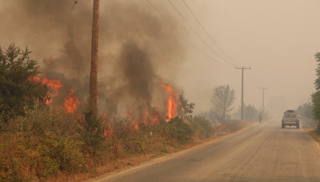 Έβρος: Έρευνα Για Φωτιές Και Περιστατικά Ρατσιστικής Βίας