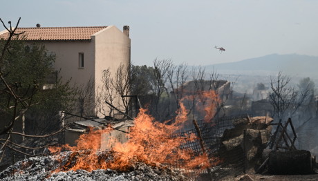 Εμπρησμός: Συνελήφθη Εποχικός Πυροσβέστης Στην Κεφαλονιά