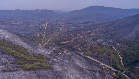 Σε ύφεση η φωτιά στην Πάρνηθα -Δεν Πέρασε Στον Εθνικό Δρυμό