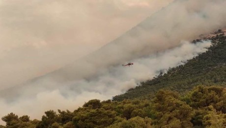 Μεγάλη αναζωπύρωση στην Πάρνηθα - Μάχη για τους Θρακομακεδόνες
