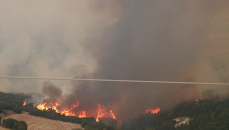 Αλεξανδρούπολη: Μάχη με τα πύρινα μέτωπα για έκτη μέρα