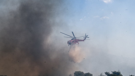 Φωτιά Τώρα Πάρνηθα: Νέο Μέτωπο Στον Αυλώνα