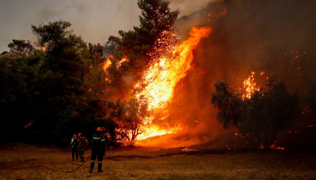 Φωτιές: 60 Πυροσβέστες Τραυματίες Ή Με Αναπνευστικά