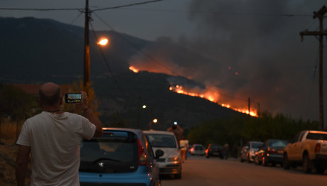 Φωτιά Βοιωτία: Μάχη Για Να Σωθεί Το Δάσος Ελικώνα