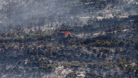 Φωτιές: Η Ελλάδα Πρώτη Στη Μεσόγειο Σε Καμένη Γη Το 2023