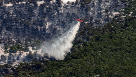 Φωτιά Τώρα Πάρνηθα: Μεγάλη Αναζωπύρωση Στη Φυλή