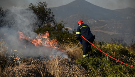 Φωτιά Και Στη Λακωνία: Επιχειρούν Επίγεια Και Εναέρια Μέσα