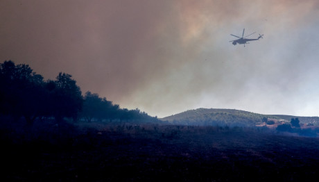 Φωτιές Εύβοια: 18χρονος Προσήχθη Για Εμπρησμό