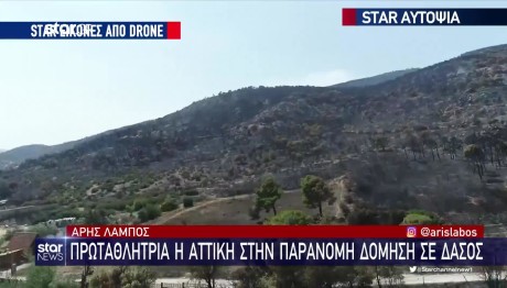Παράνομη Δόμηση Σε Δάσος: Πρωταθλήτρια η Αττική