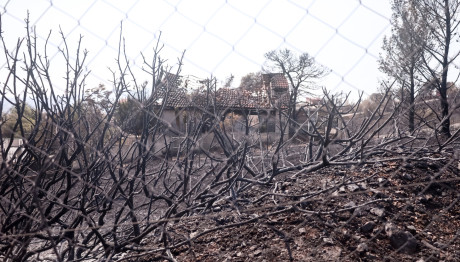 Κικίλιας: 119 Συλλήψεις Για Εμπρησμό Από Αμέλεια