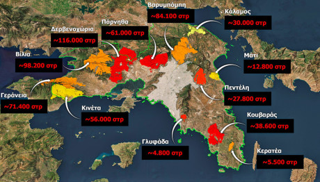 Αττική: Μέσα στα τελευταία 7 χρόνια κάηκε το 33% των δασών