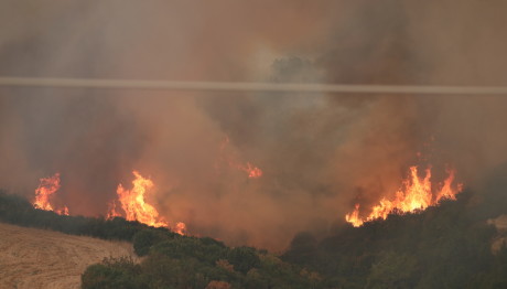 Αναζωπυρώσεις και εκκενώσεις οικισμών στον Έβρο