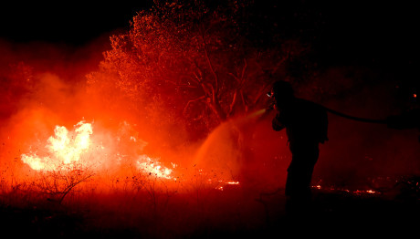 Φωτιά στον Έβρο: Αγωνία για τη Δαδιά