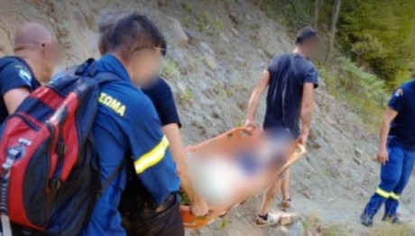 Άρτα: Αρκούδα επιτέθηκε σε 67χρονο άνδρα - Σώθηκε από θαύμα