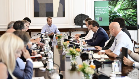 Φωτιές: Άμεσα αναδασωτέες οι καμένες περιοχές σε Έβρο και Πάρνηθα