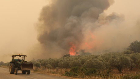 Φωτιά Έβρος: Νέες Εκκενώσεις Την 11η Ημέρα Της Πυρκαγιάς