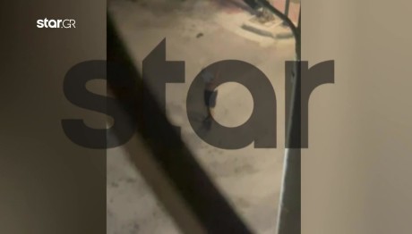 Βίντεο Από Τον Ξυλοδαρμό 16χρονου Στη Νέα Φιλαδέλφεια