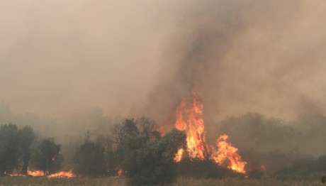 Φωτιά Έβρος: 12η Ημέρα Πυρκαγιάς - Νέες Εκκενώσεις