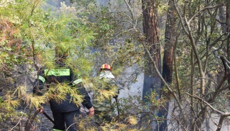 φωτιά Έβρος