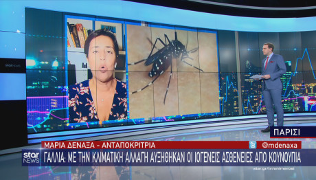 Παρίσι κουνούπι τίγρης