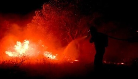 Φωτιά στον Έβρο: Συνεχίζεται η μάχη με τις φλόγες